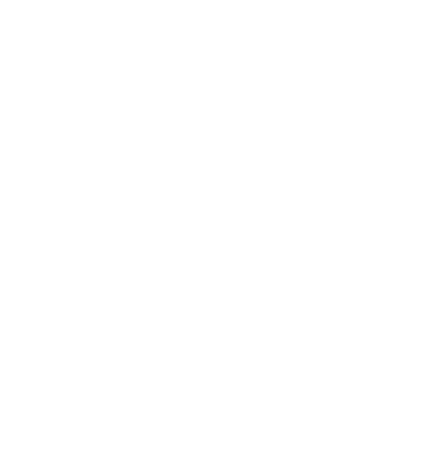 Movimento Mais Seguro